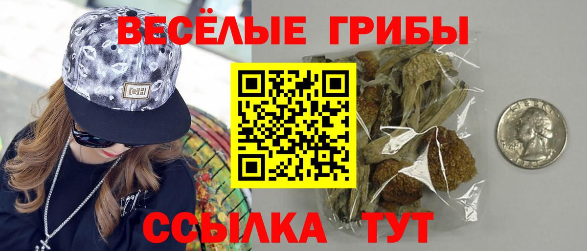 Галлюциногенные грибы ЛСД  Вход с VPN  даркнет сайт  Псилоцибиновые грибы Cubensis  Нижний Тагил 